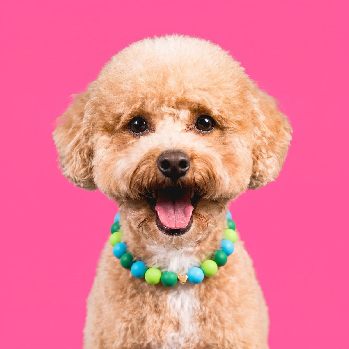 Nugz the goldendoodle wearing the Gemmies Green Giggles beaded collar
